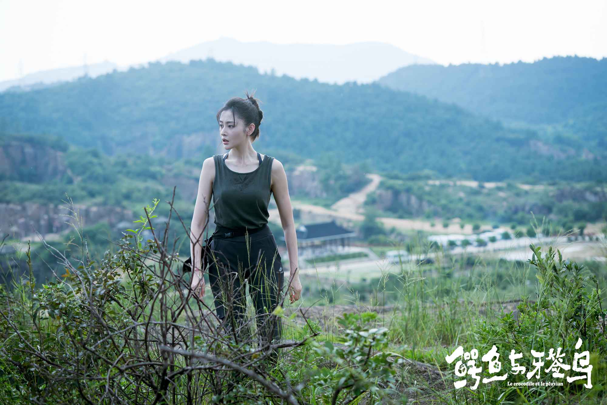 《鳄鱼与牙签鸟》张天爱为戏攀岩 网友：“南”上加难