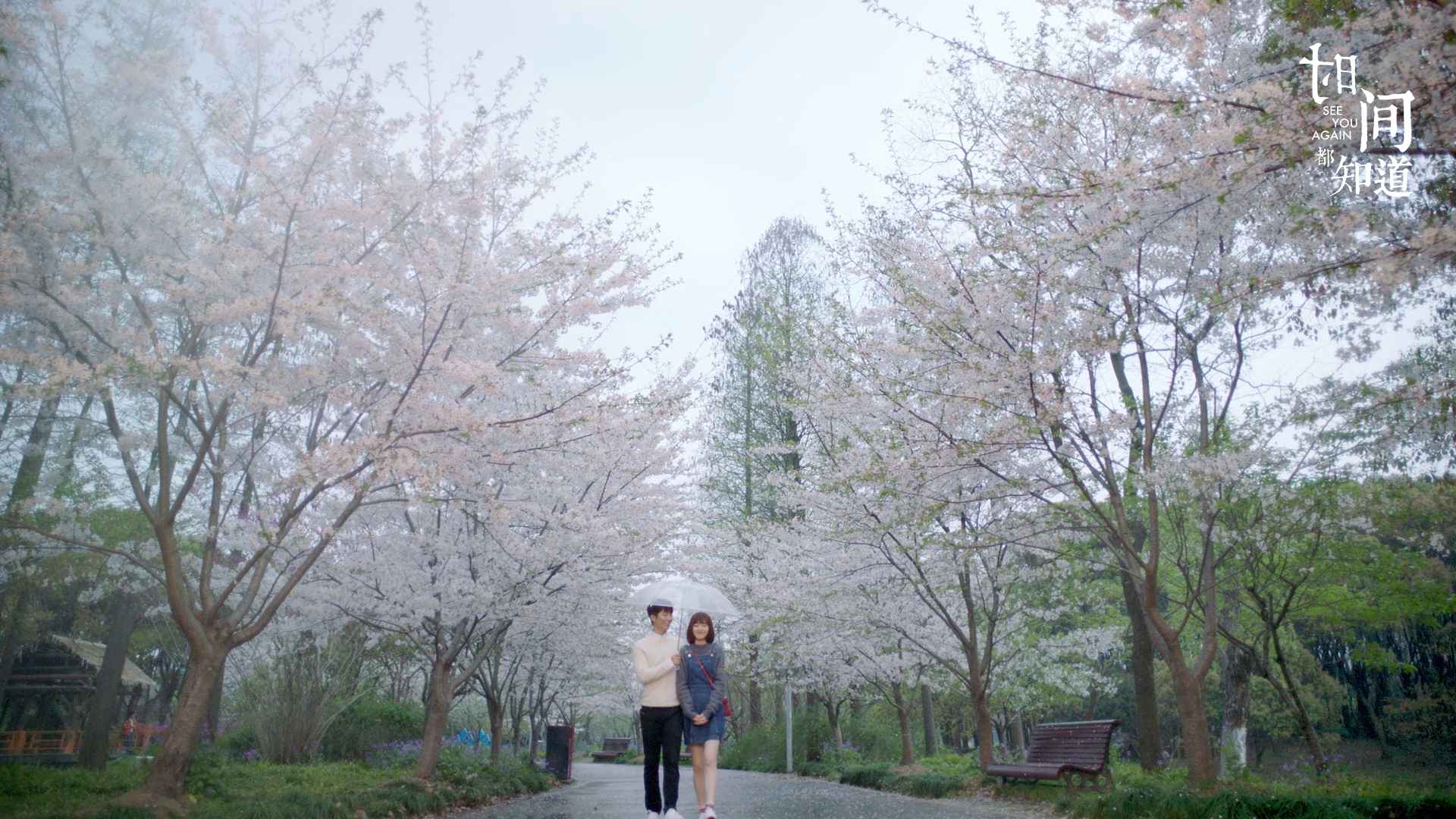 《时间都知道》唐嫣窦骁上演“樱花吻” 网友：加减佳偶锁了