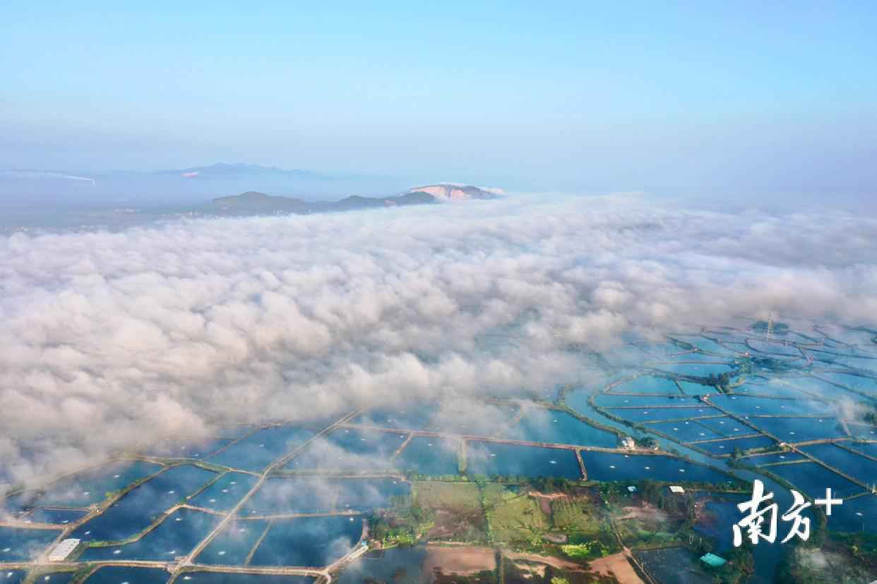 今日新鲜事:南边拍客看广东|一周精选 旭日金秋