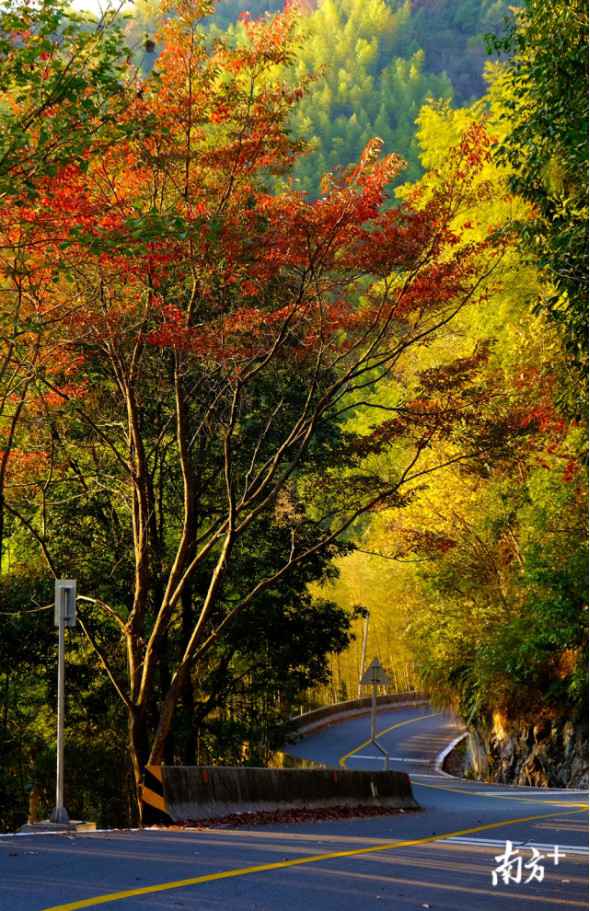 时事热点:大自然“打翻”了颜料盘！韶关始兴这座山头五彩斑斓