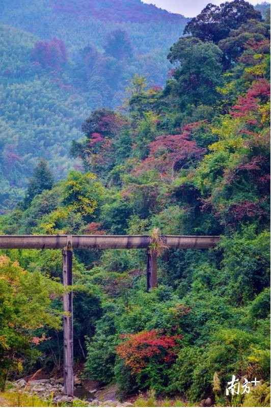 时事热点:大自然“打翻”了颜料盘！韶关始兴这座山头五彩斑斓