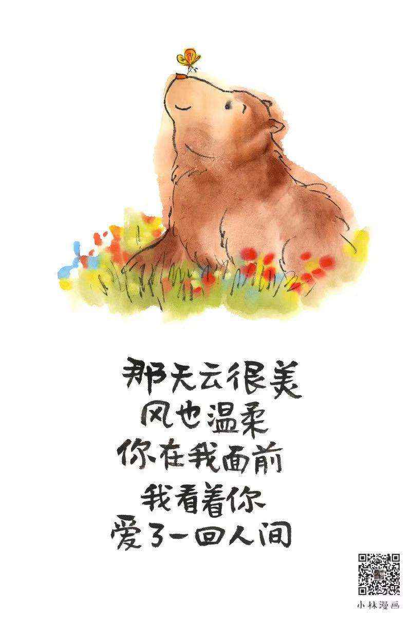 【“超”访】小林漫画：人间治愈术