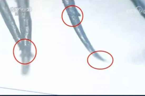 “315”晚会曝光多个问题 共享单车退费难“上榜”