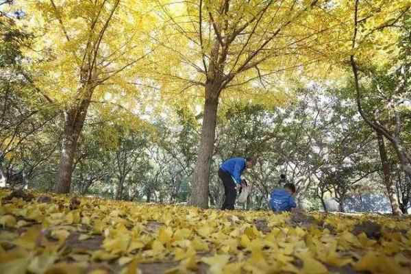  冷冷冷！彻夜北京最低气温仅1℃，幸好“暖”也来了