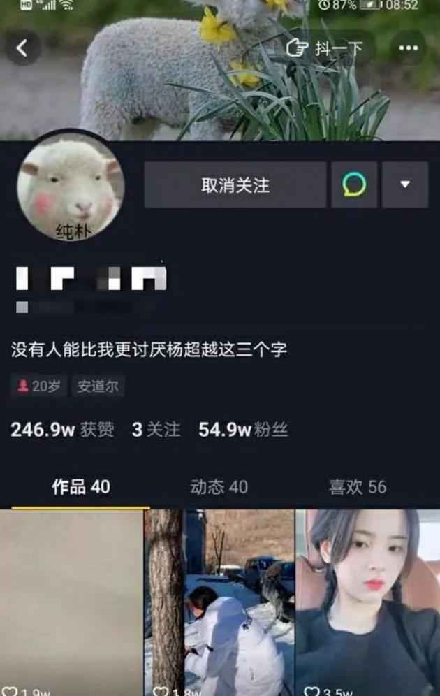 杨逾越更新小我私家主页简介 疑似回应网红引热议