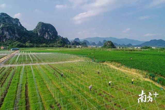 清远：创新六大机制 助推脱贫攻坚