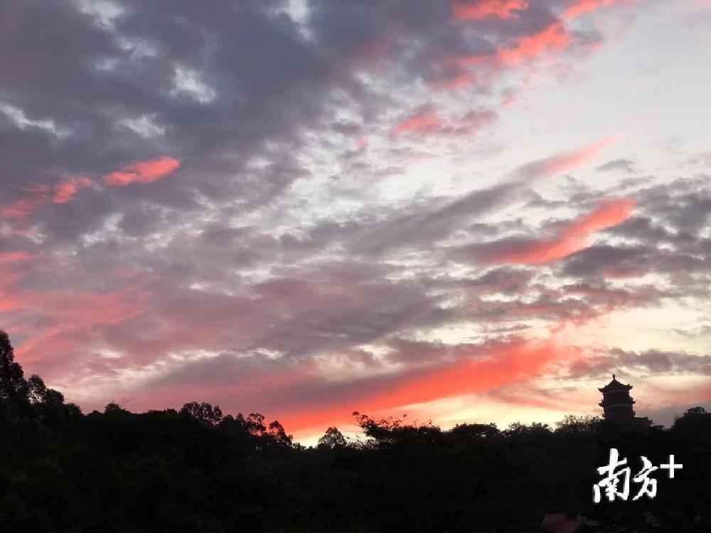 早上，大圣踏着五彩朝霞来接我……上班