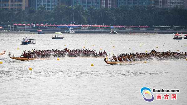 多图 | 本日珠江太热闹！124条龙舟逐浪比拼