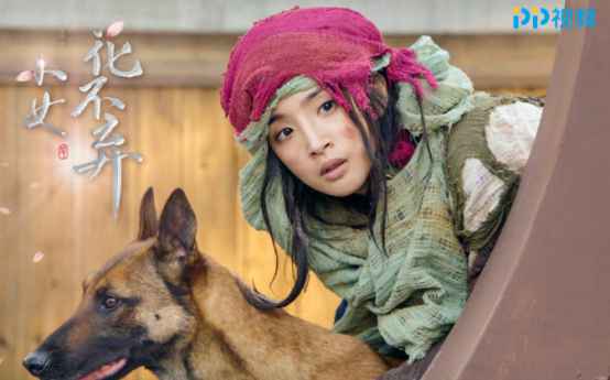 PP视频《小女花不弃》剧情跌荡紧凑，林依晨机警翰旋转败为功