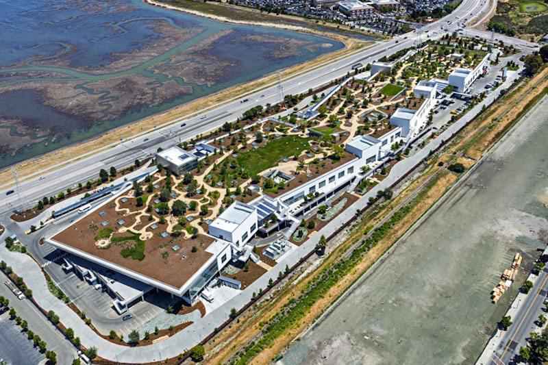 脸书员工在总部跳楼身亡：传是软件工程师，警方解除行刺大概