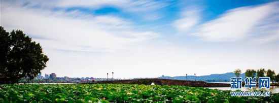 金秋逢盛会 最忆是杭州