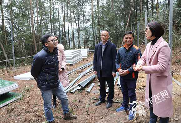 “在世”后续|熊勇获丰都芦花鸡独家署理权 誓要活出生命出色