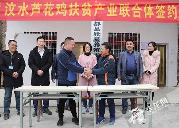 “在世”后续|熊勇获丰都芦花鸡独家署理权 誓要活出生命出色