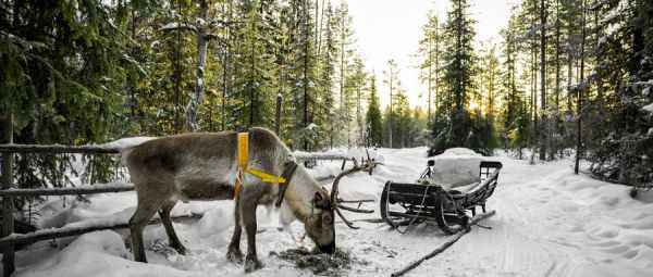  诺基亚“收缩”后，这个芬兰小镇靠5G抖擞新生（上）