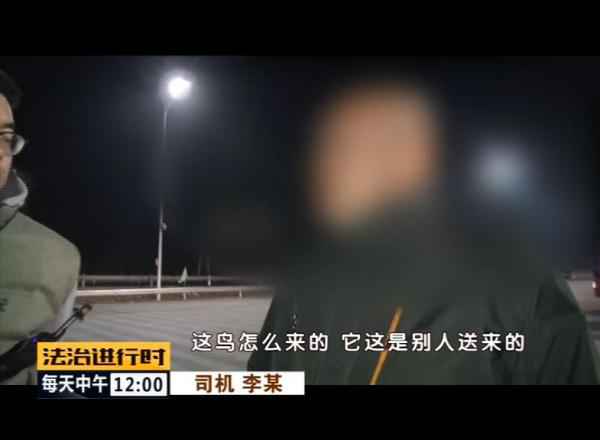  北京丛林公安乐成补救数百只野生候鸟！