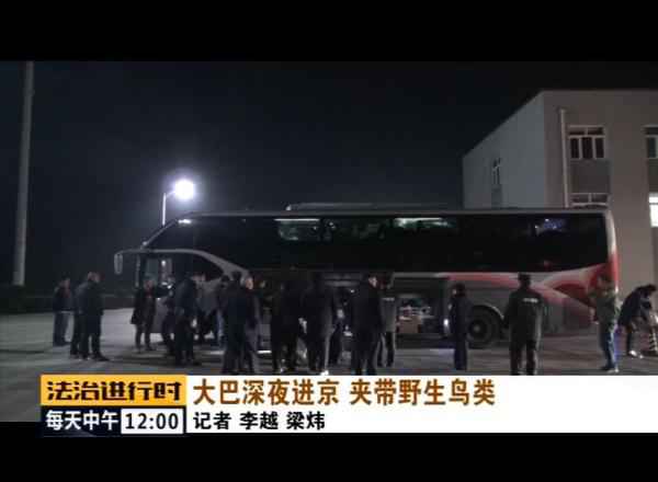  北京丛林公安乐成补救数百只野生候鸟！