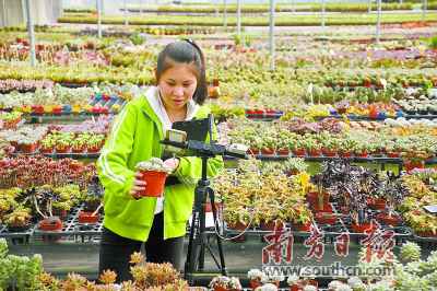 青春面孔在乡村广袤天地放飞梦想