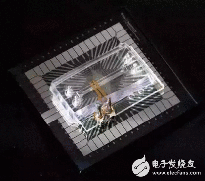 中国开始引领军备科技法则，量子胶葛、器官芯片、深度神经网络、无人机集群。西方很迷惑