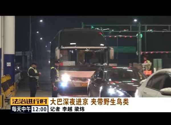  北京丛林公安乐成补救数百只野生候鸟！