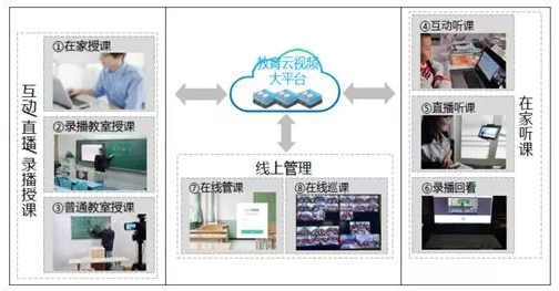 博士变“主播”？看看聪明教训另有哪些你不知道的地方