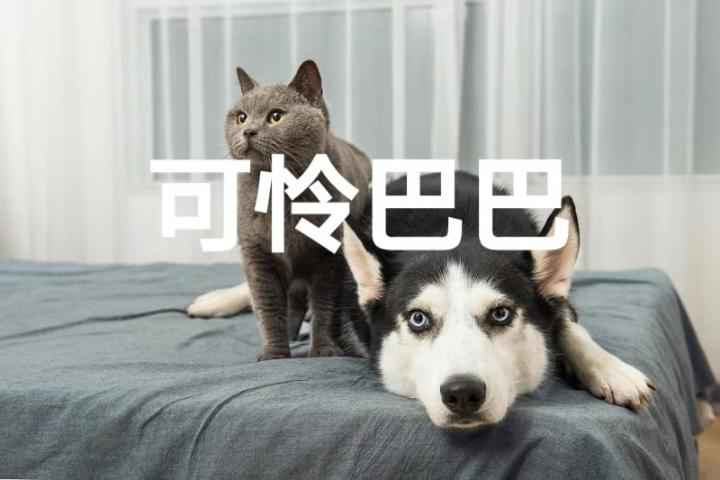 有奖征集|战疫宅家欢悦多，花式晒宅赢氛围净化器！