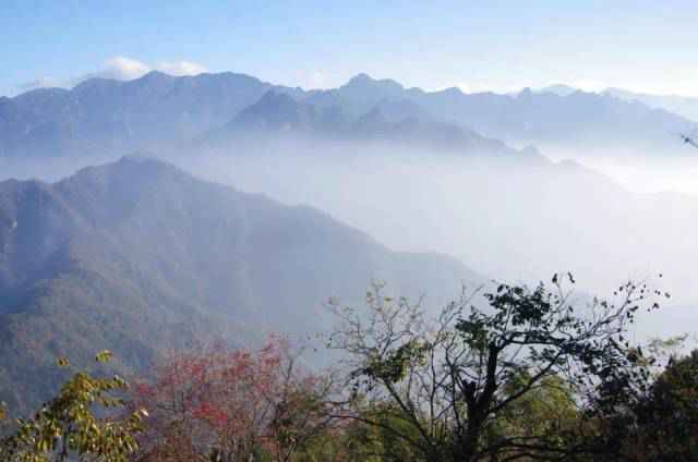 粤菜师傅SHOW·大家课|花菇也能登上家宴C位？南粤厨王放大招了！