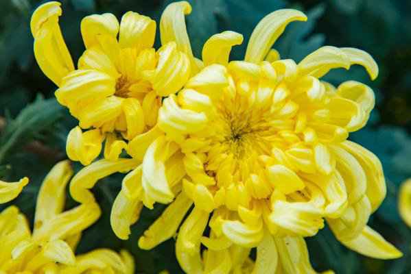 上海疫情期间可以扫墓吗？