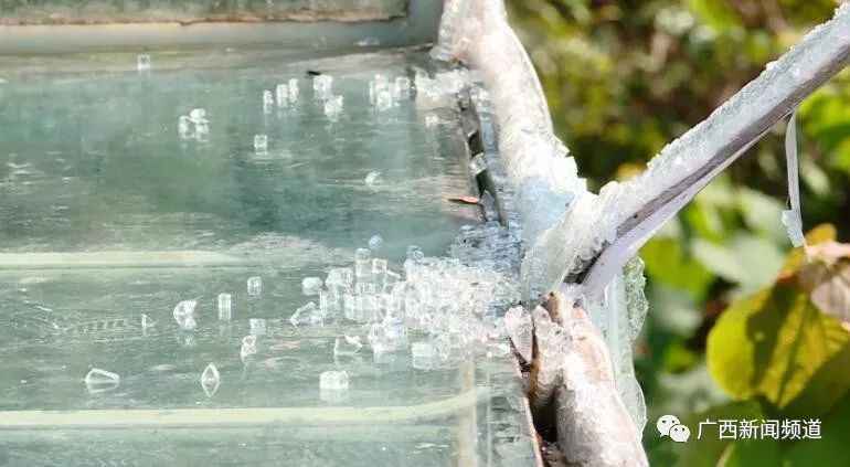 可怕！玻璃滑道护栏被撞破致人死伤，旅客回想惊魂瞬间