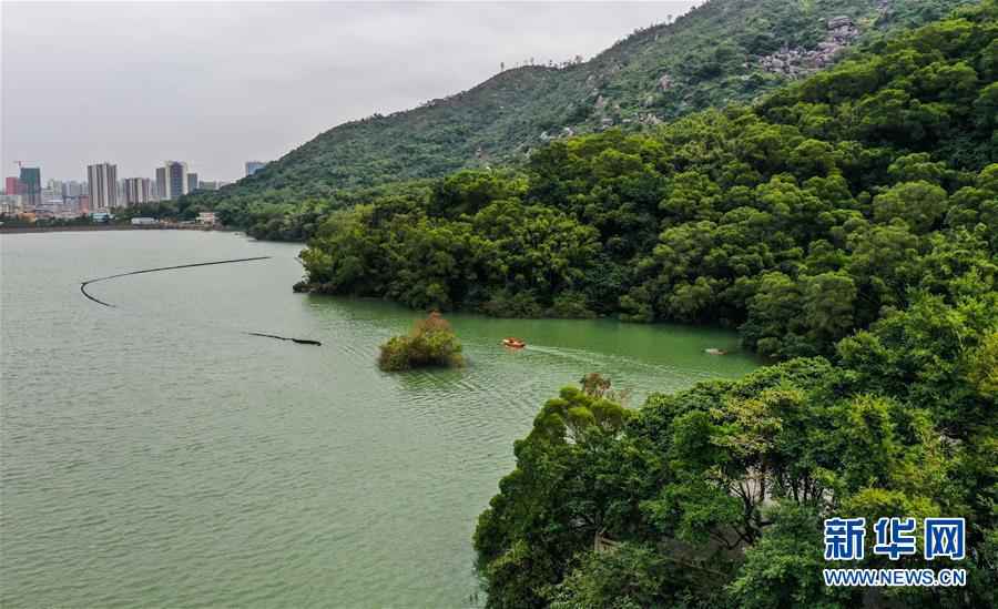 千里清流润濠江——广东对澳门供水保障纪实