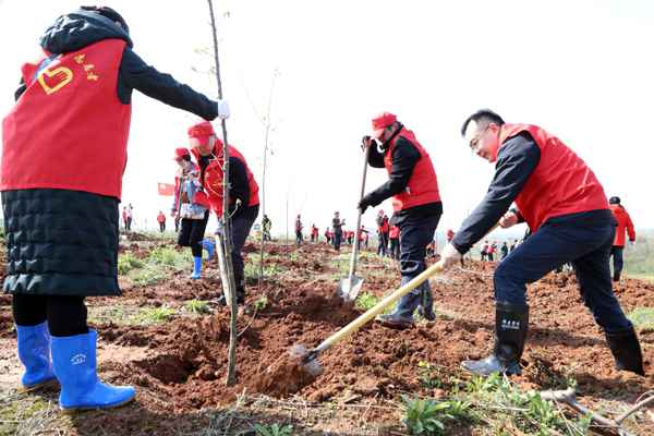共青团安徽省委开展直属构造党员勾当日暨义务植树勾当