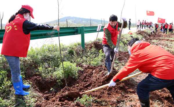 共青团安徽省委开展直属构造党员勾当日暨义务植树勾当