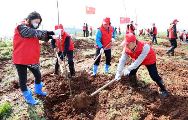共青团安徽省委开展直属构造党员勾当日暨义务植树勾当
