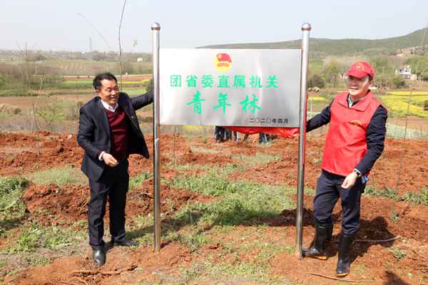 共青团安徽省委开展直属构造党员勾当日暨义务植树勾当