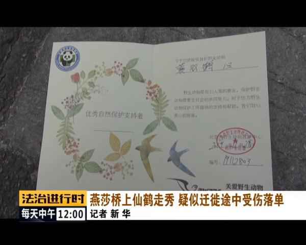  聚焦 | 现实版《老炮儿》！北京陌头惊现“仙鹤”！