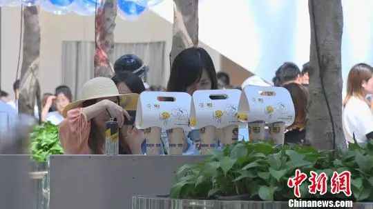 刷爆伴侣圈的懂得兔奶茶店涉嫌无证策划？官方回应了
