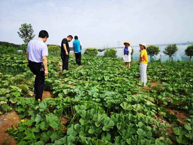 粤菜师傅SHOW·大家课|这道菜低脂营养又鲜味，三步秒会！