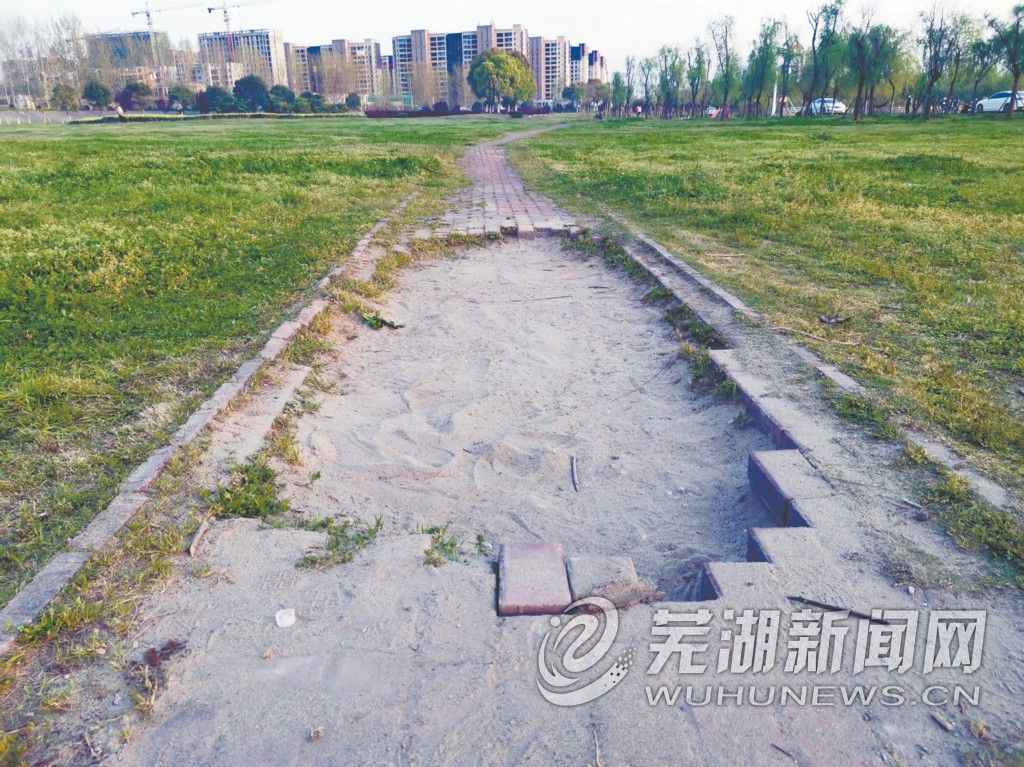 长江大桥下绿地乱象多，谁来类型打点？