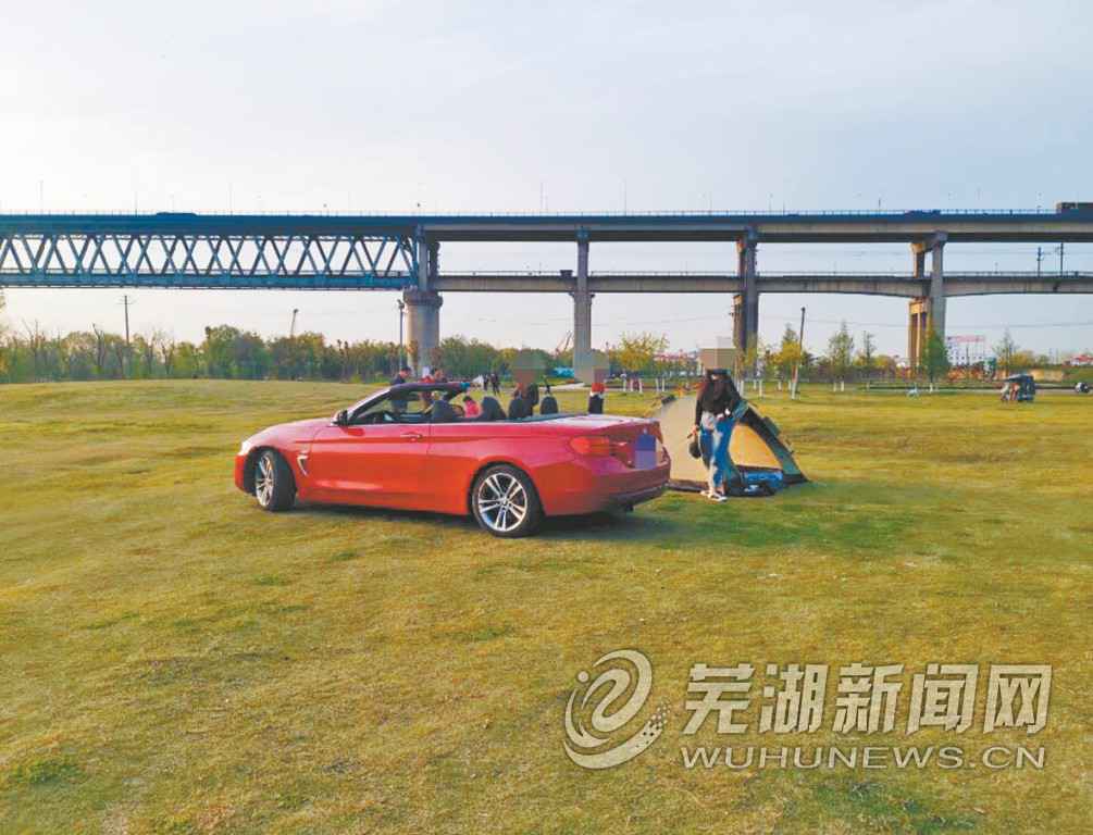 长江大桥下绿地乱象多，谁来类型打点？