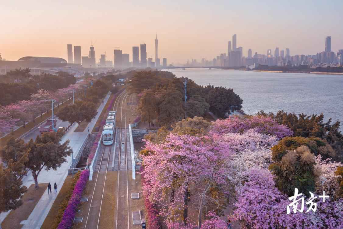 南边拍客看广东|一周精选 初心未改