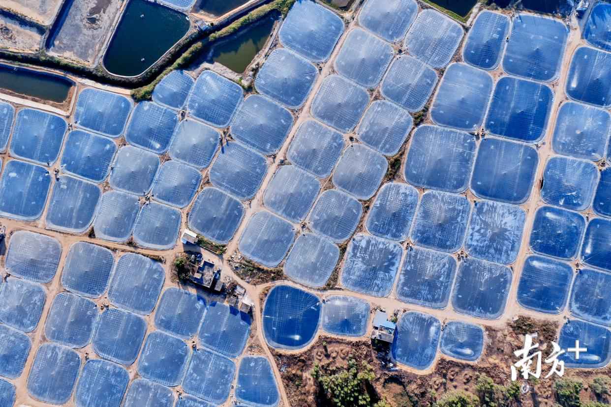 南边拍客看广东|一周精选 初心未改