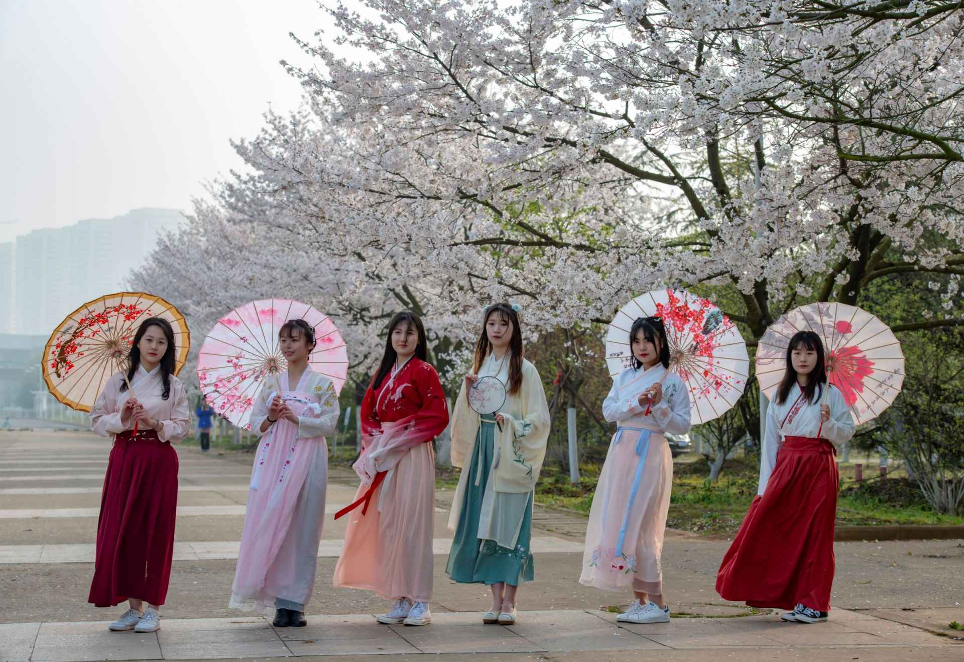 “中国最美小鸟”现身大别山