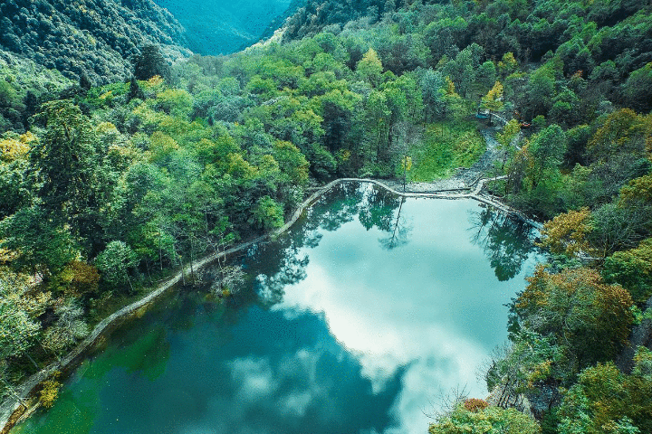 成渝CP 辣么甜me⑩|放假前让我们再约一次！今天仙女山喇叭河景区门票免费抢