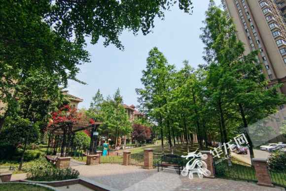 重庆连晴高温尚有多久？阵雨已经在路上