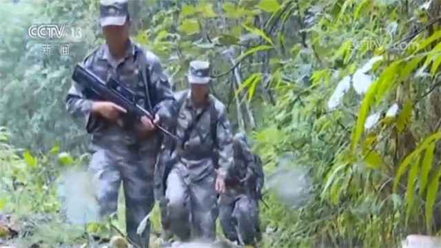 湖北新闻网 家国情怀！他们冒险穿越森林 只为了守