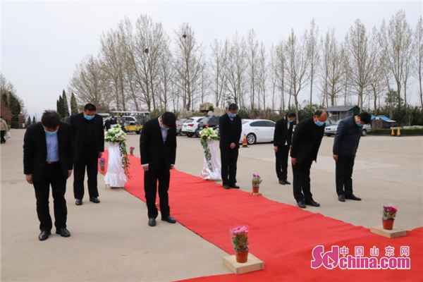 网祭、代祭、错时，山东开启文明祭扫新民风！