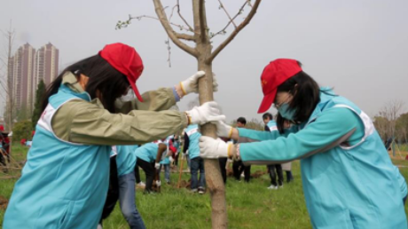 巢湖团市委开展共植青年林主题团日活动