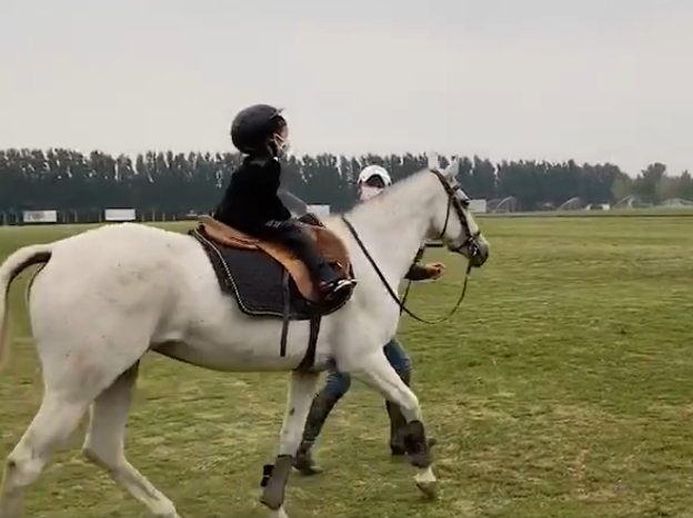 章子怡女儿醒醒骑马视频曝光 行动可爱十足