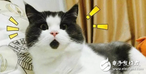 “让天下没有只身狗”其实逗你玩儿 只身狗福音“共享女友”app上线？白兴奋一场