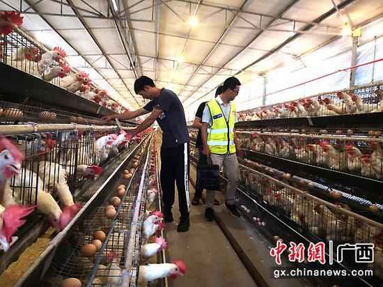 杨俊兴：从查看官到“第一书记”的脚色转换