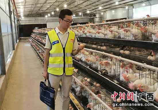 杨俊兴：从查看官到“第一书记”的脚色转换